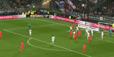 年度回顾 年度回顾